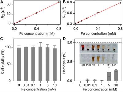 Visualizing the Potential Impairment of Polymyxin B to Central Nervous System Through MR Susceptibility-Weighted Imaging